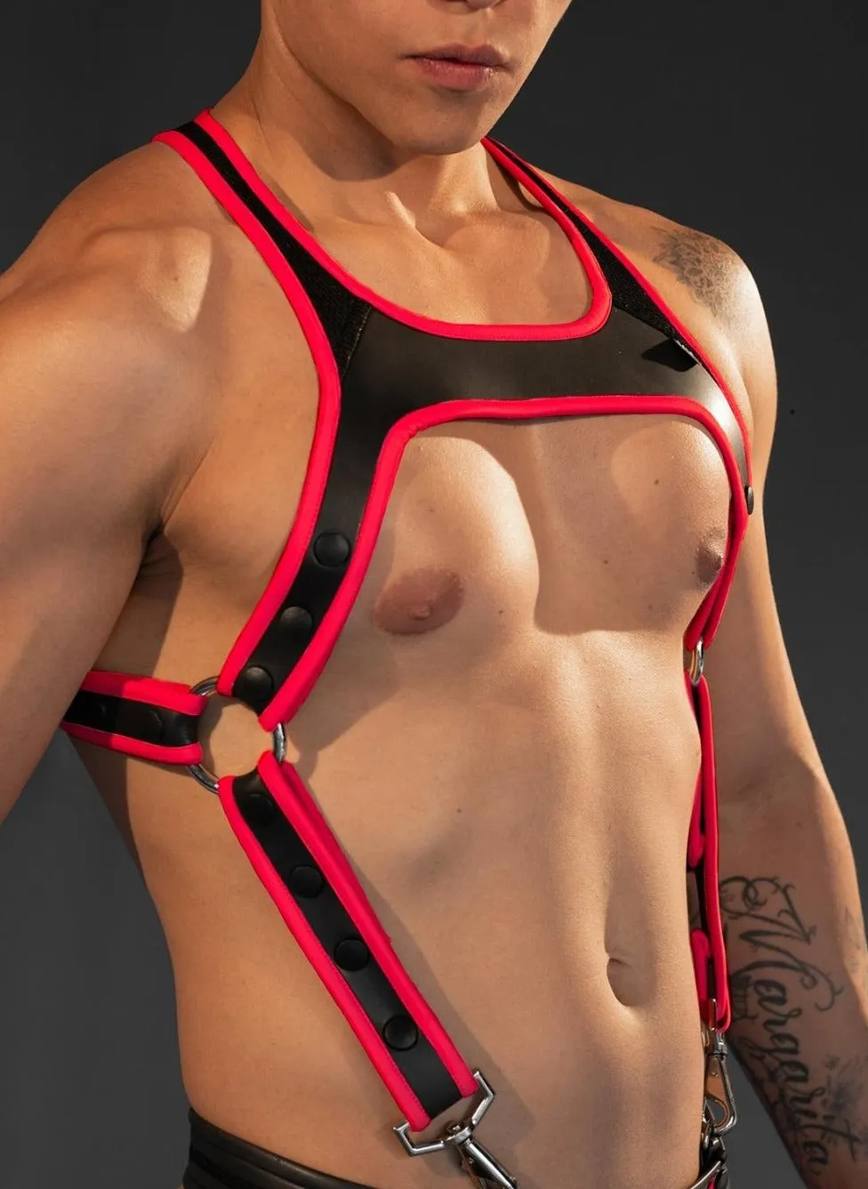 Dale Mas Neoprene Smooth Skin Industry Harness, Black/Red