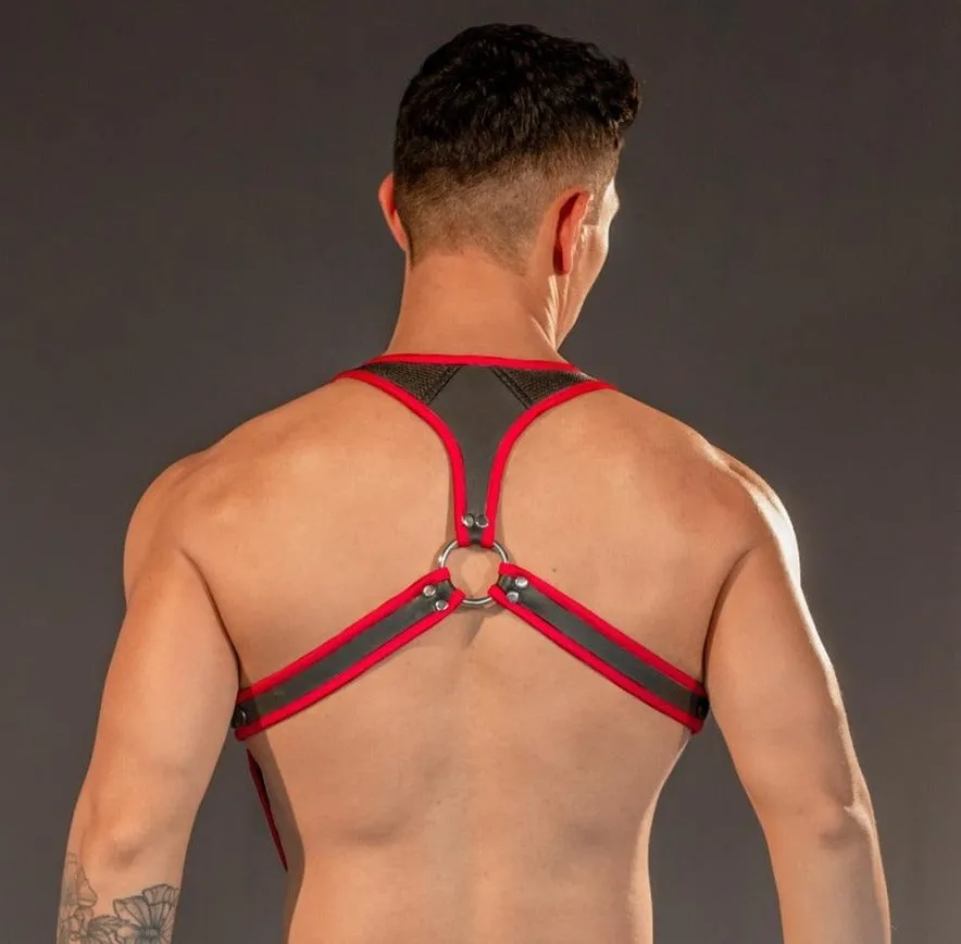 Dale Mas Neoprene Smooth Skin Industry Harness, Black/Red